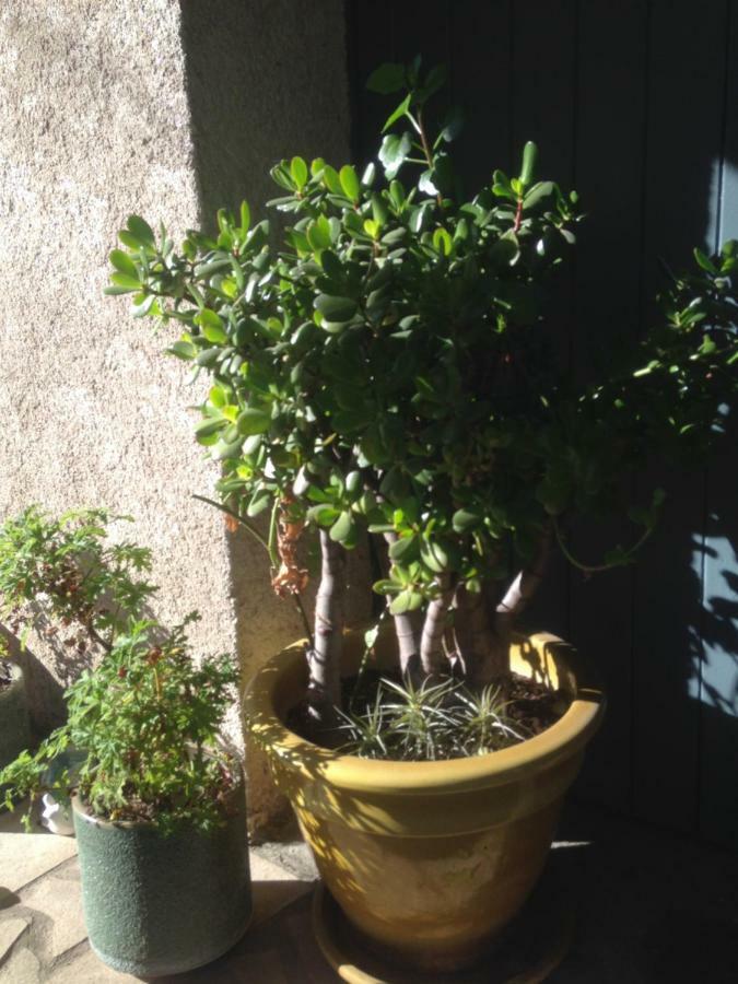 2 Appartements Calmes Frejus Ngoại thất bức ảnh