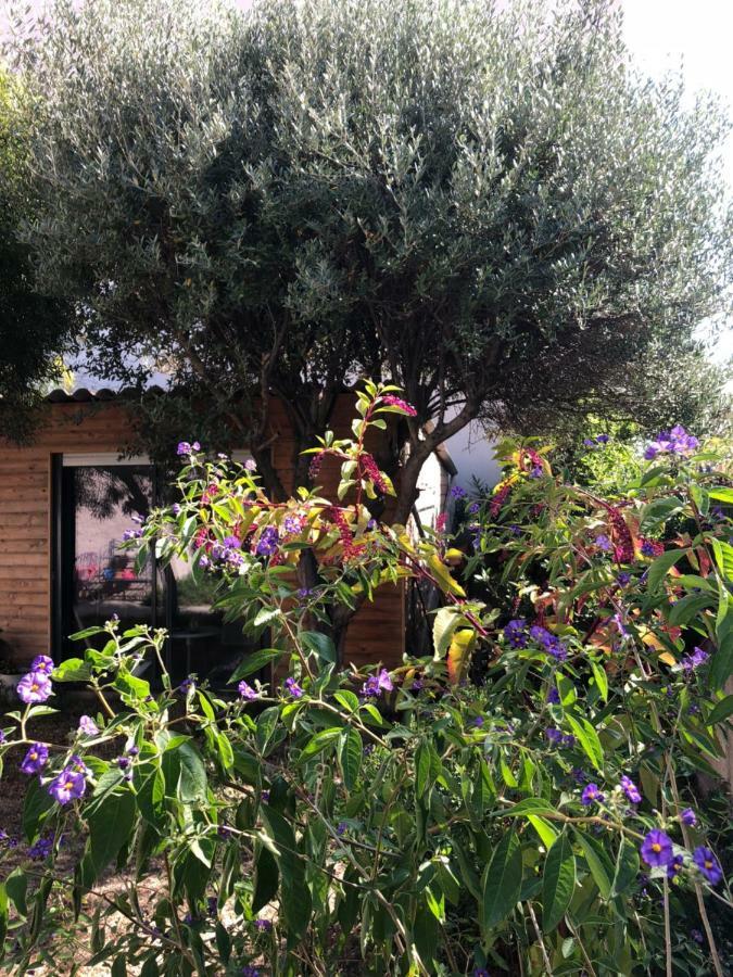 2 Appartements Calmes Frejus Ngoại thất bức ảnh